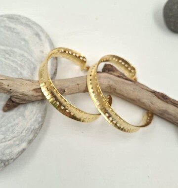 Bronze Earrings